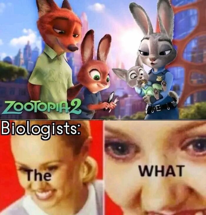 Funny-Smart-Science-Memes