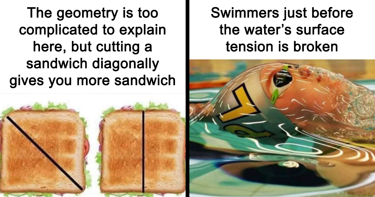Science Memes: 44 Funny Images That Cleverly Mix Education And Jokes