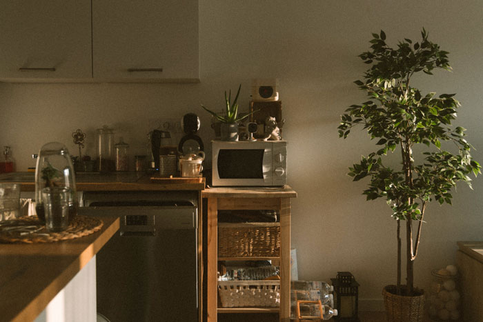 Stopping The Microwave At One Second Just To Prove You Can