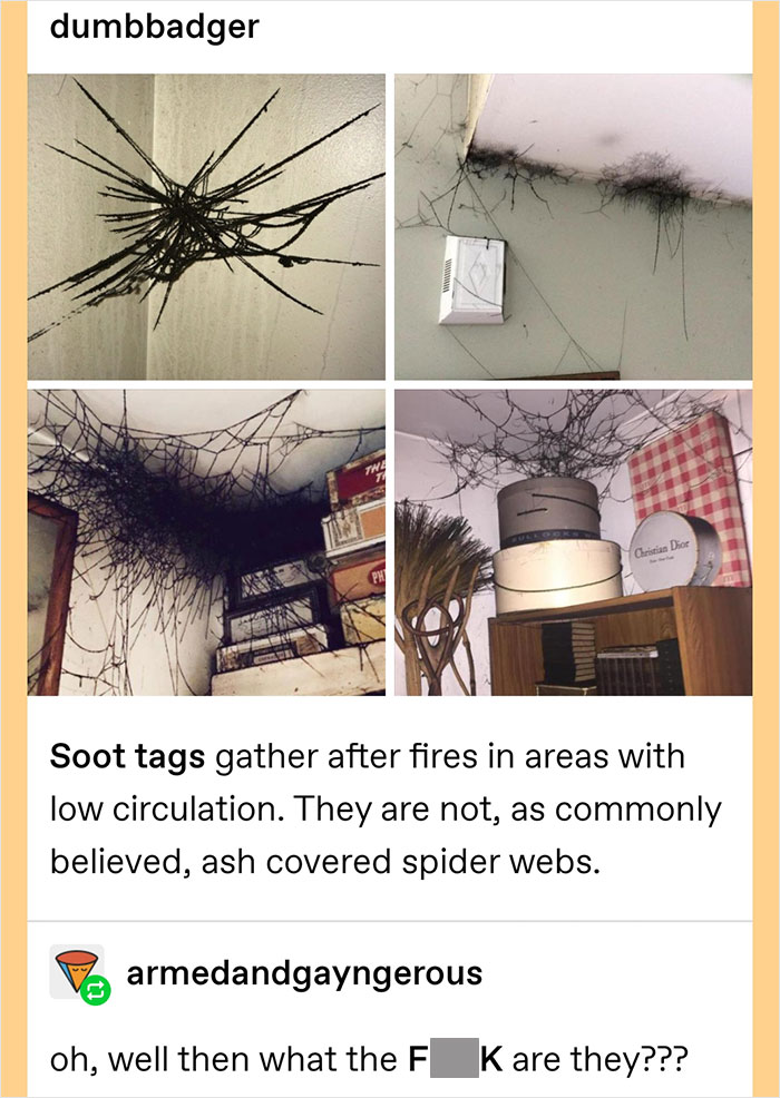 Funny-Weird-Tumblr-Screenshots-Antisocialduckling