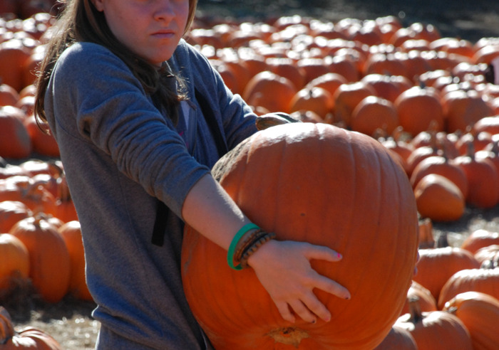 &ldquo;Do Not Speak To Me&rdquo;: Girl Is Sick And Tired Of Boy&rsquo;s Attention, Writes Him A List Of Rules To Follow Around Her
