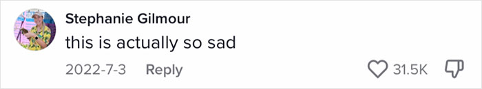 Family Of 12 Shows How They Manage To Travel In A 30-Foot Trailer And People Online Don't Approve