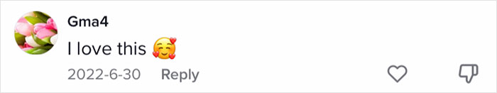 Family Of 12 Shows How They Manage To Travel In A 30-Foot Trailer And People Online Don't Approve