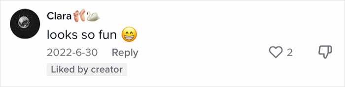 Family Of 12 Shows How They Manage To Travel In A 30-Foot Trailer And People Online Don't Approve