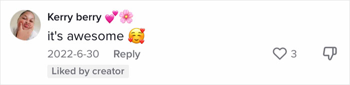 Family Of 12 Shows How They Manage To Travel In A 30-Foot Trailer And People Online Don't Approve