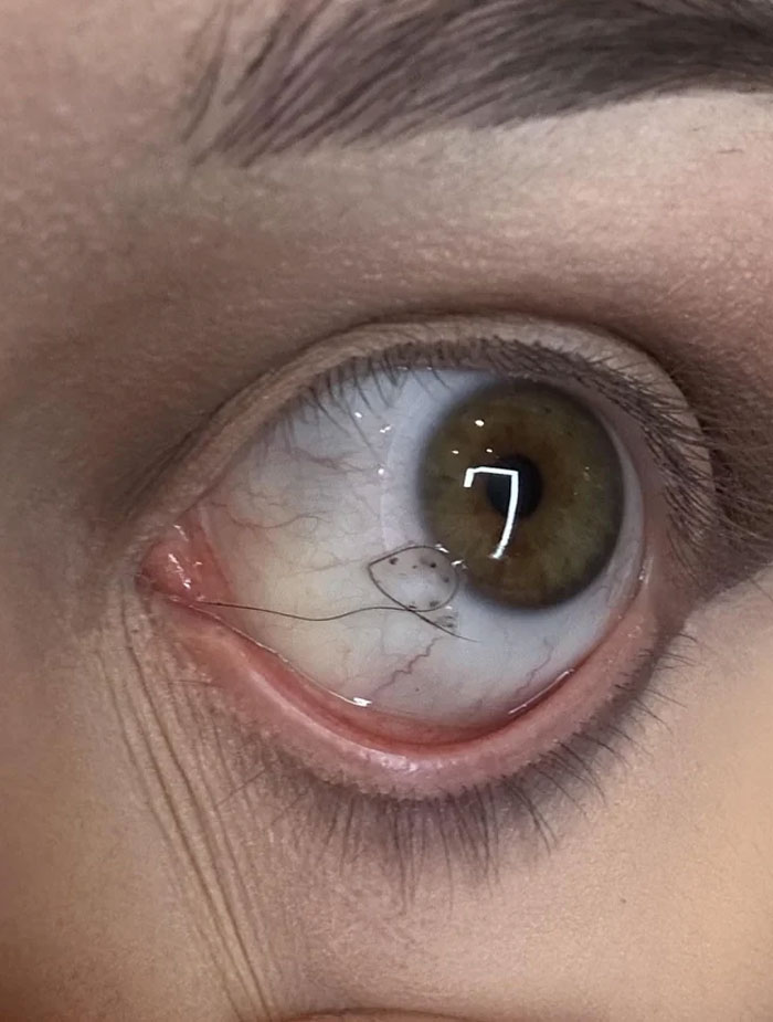 ¡Parece que mi regalo de Navidad se ha adelantado!