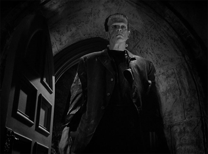 The monster form The Bride of Frankenstein
