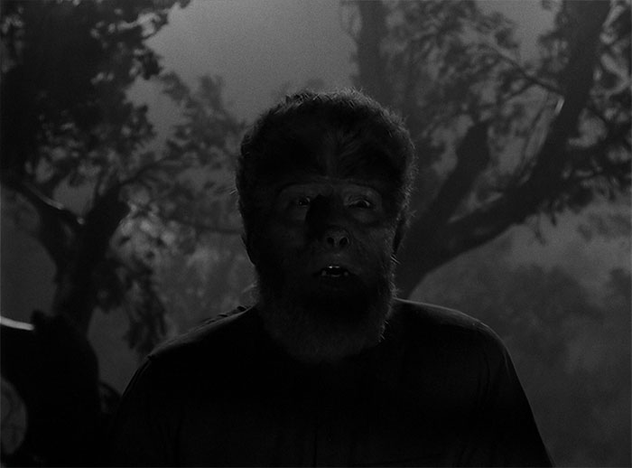 Sir John Talbot with a beard 