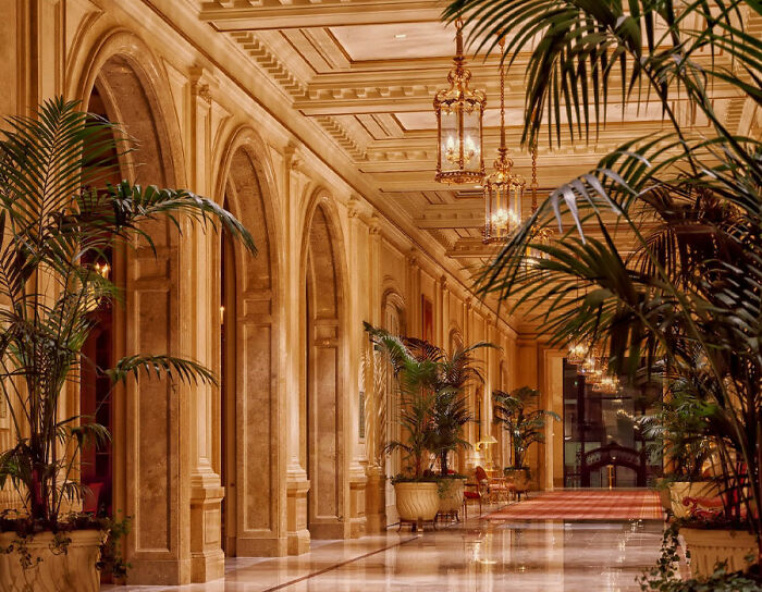 Hotel architecture with plants