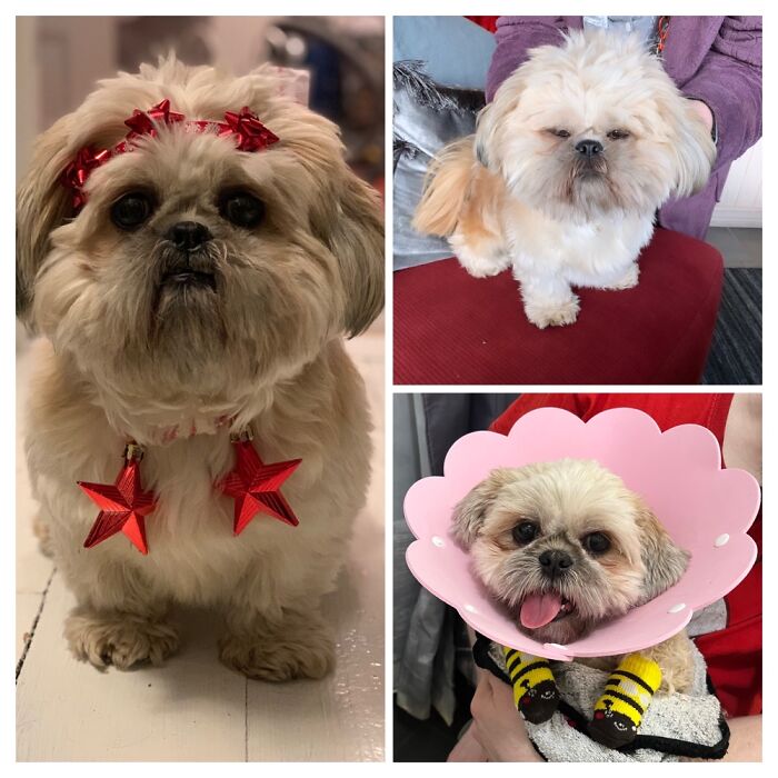 So Many Insane Pictures With This Little Girl That I Had To Do More Than One