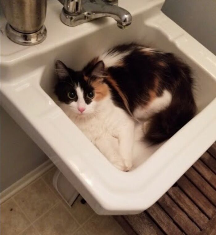 But, I Was Here First!