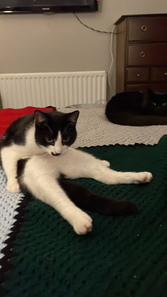 Barney Doing Some Yoga While The Void Looks On