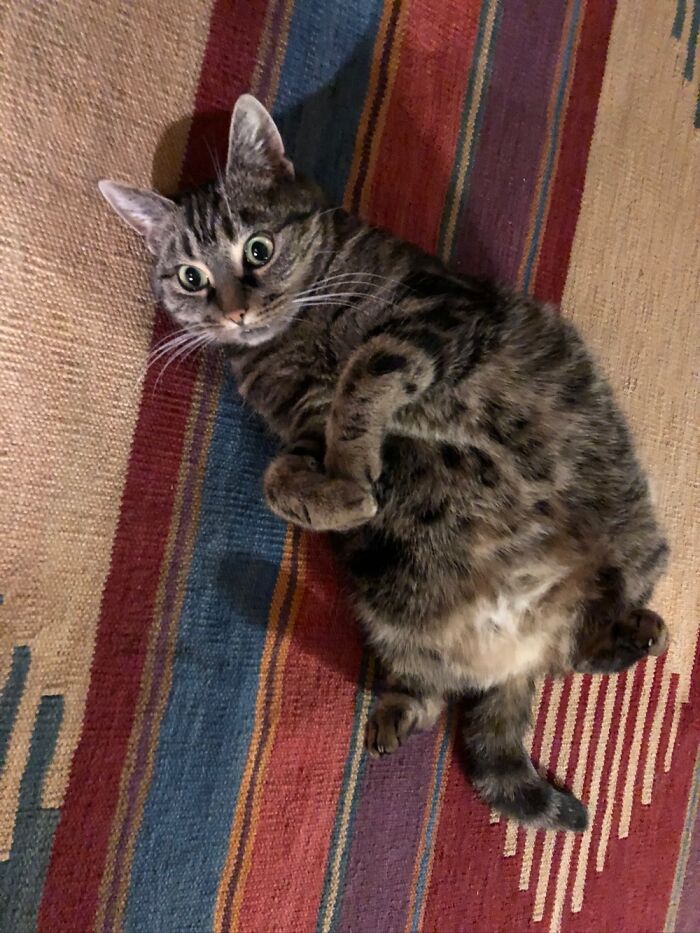 You Caught Me At The Wrong Moment