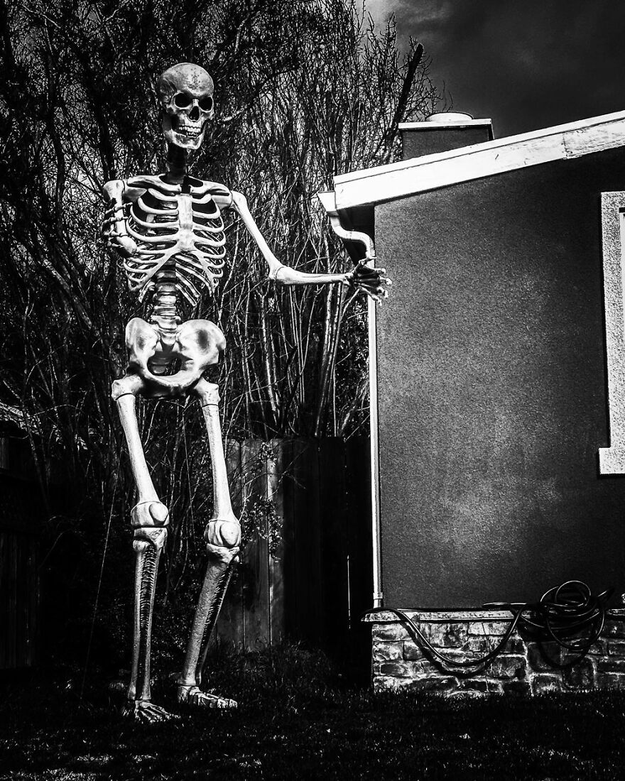 My Neighbors Lawn Art