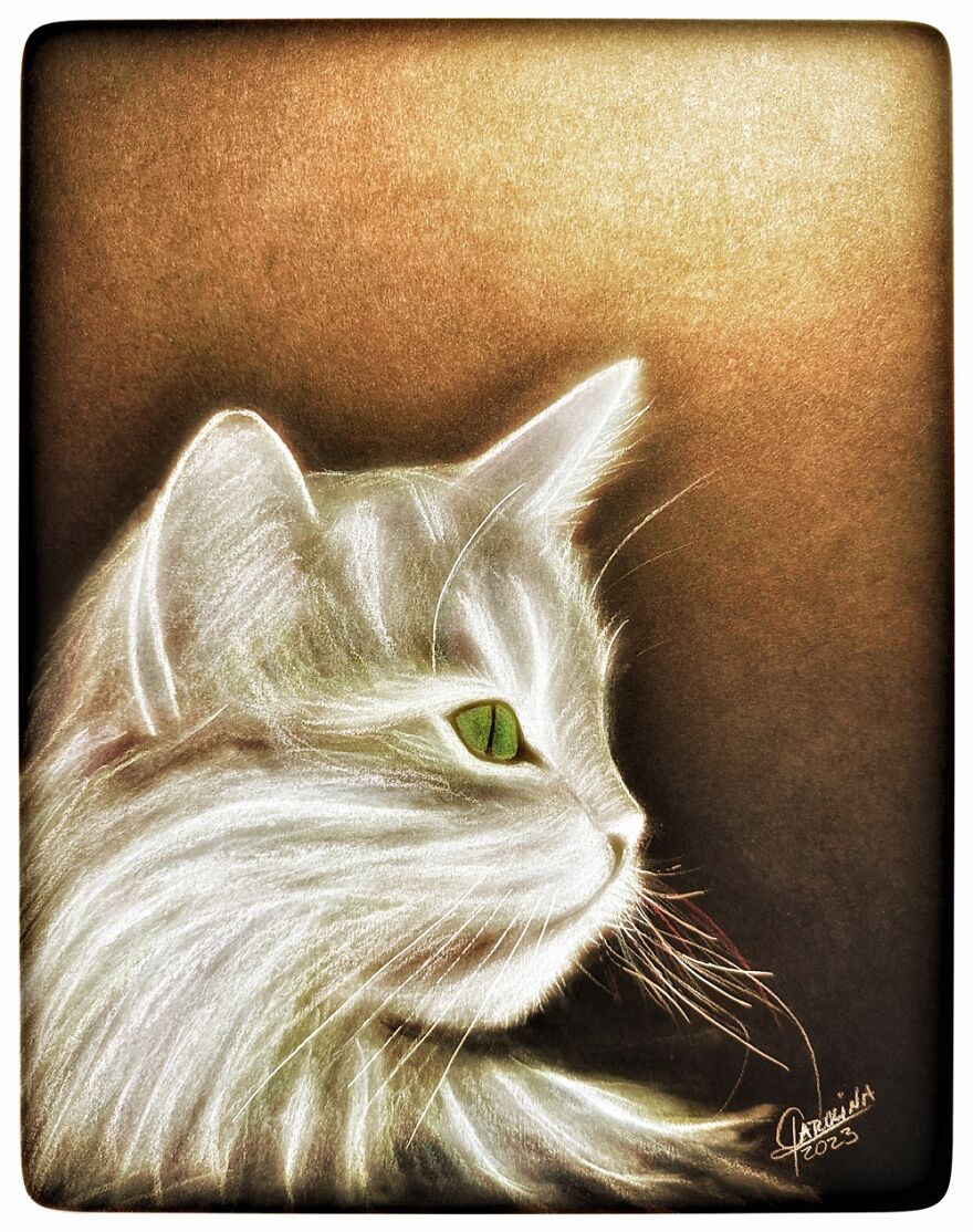 Kitty Drawing With Pastels #drawing #pastels #art #kitty #cat