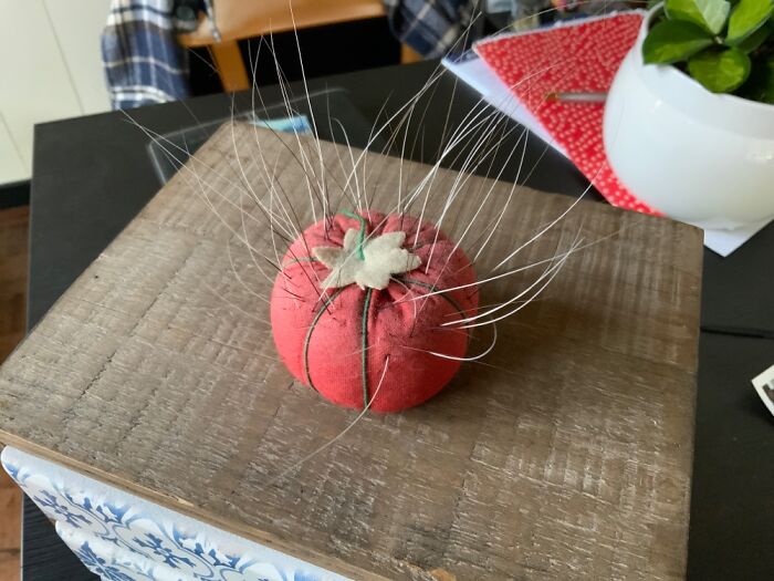 My Cat’s Whiskers. About Half Are From Matthew, Now Deceased. The Rest Once Belonged To Juniper