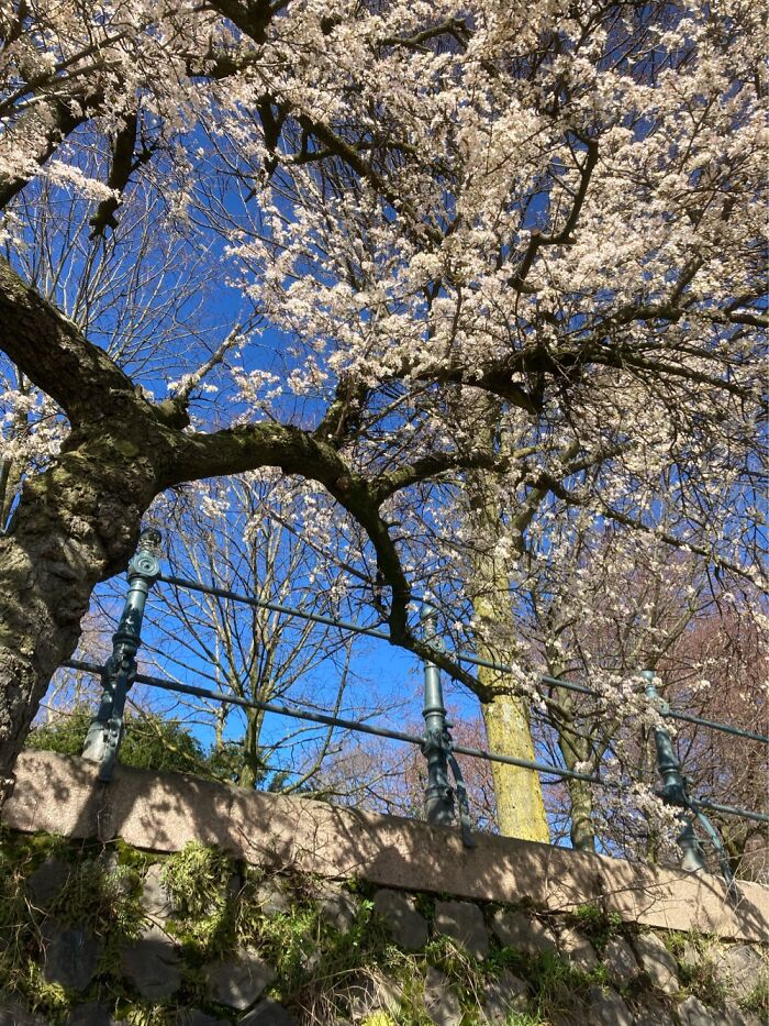 Last Weekend In Rotterdam, The Netherlands