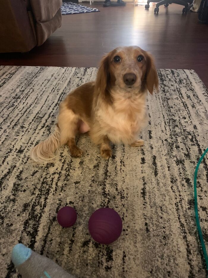 Lakoda My Beautiful Girl!! I Love Her!! She Has Blue In The Bottom Of Her Eyes