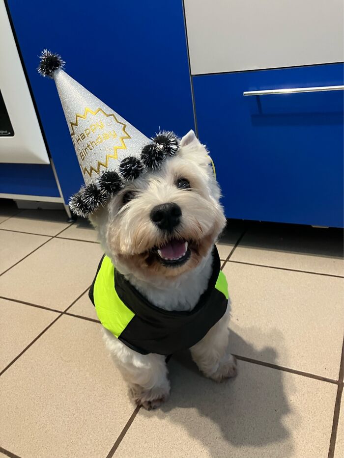 Joey, On His Birthday