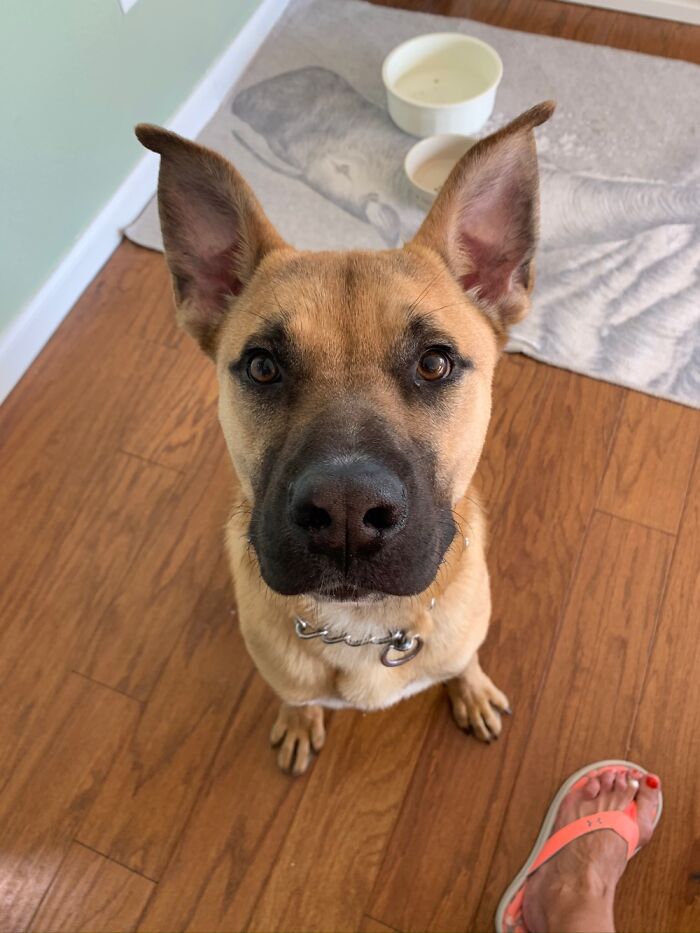 Murray “Mr Biteypants”