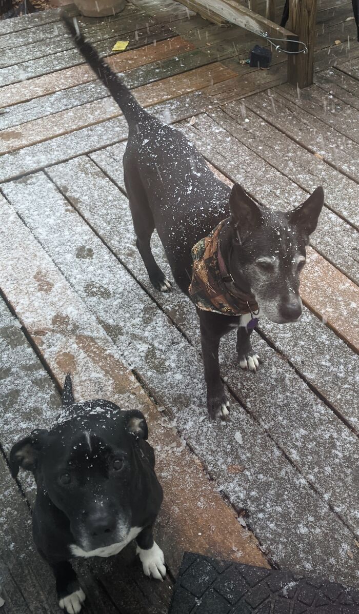 Last Time Together, Both Gone Of Old Age In 2021. Gone But Never Forgotten