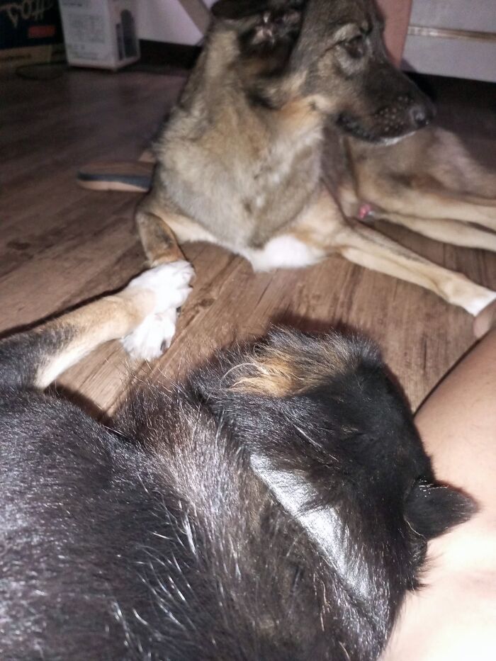 Brotherly Love💖❤️