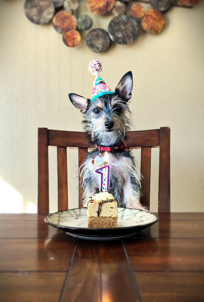 My Tovi’s First Birthday