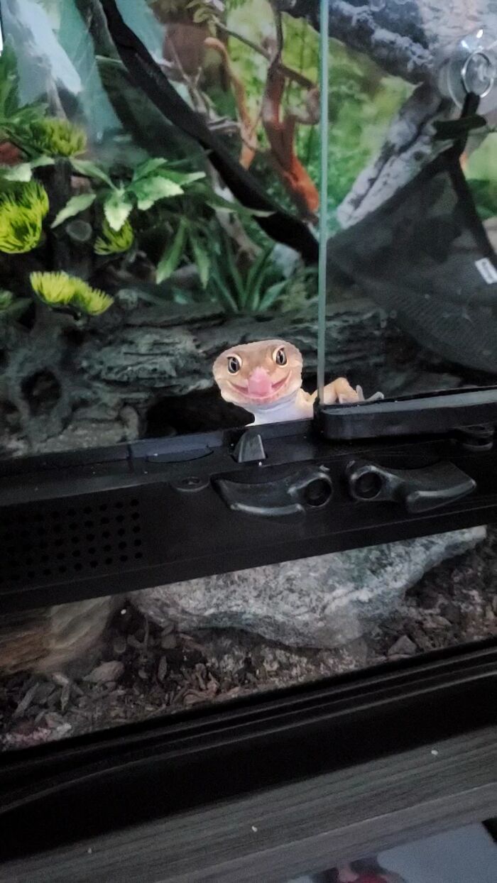 My Little Baby Turbo Ready To Eat!