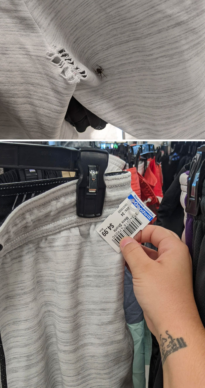 $5 For A Blown-Out Booty Hole And A Spider