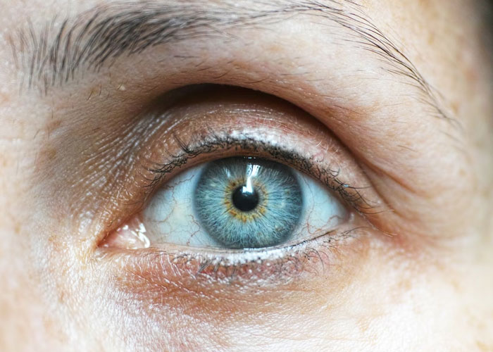 “Human Body Facts That Will 100% Trigger You”: 27 Obscure Yet Terrifying Facts About Us Revealed By This TikToker