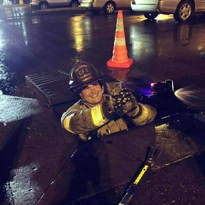 Firefighter Buddy Saving A Tiny Kitten