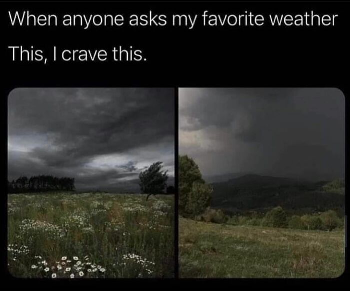 Introvert-Problems-Funny-Pics