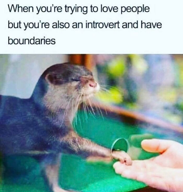 Introvert-Problems-Funny-Pics