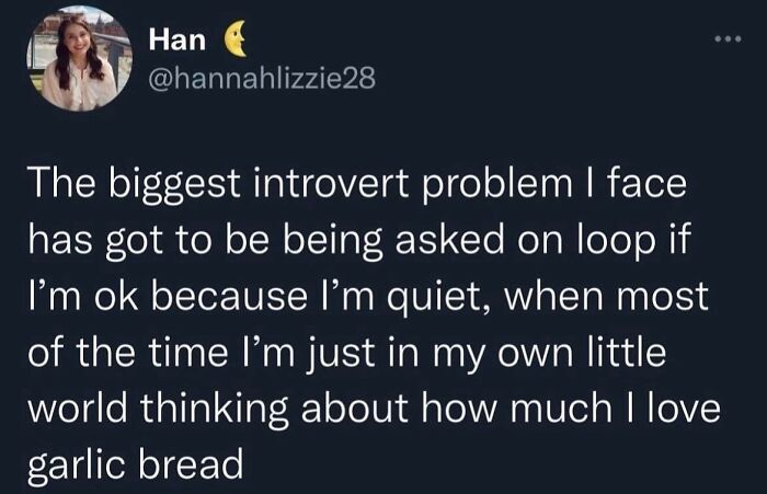 Introvert-Problems-Funny-Pics
