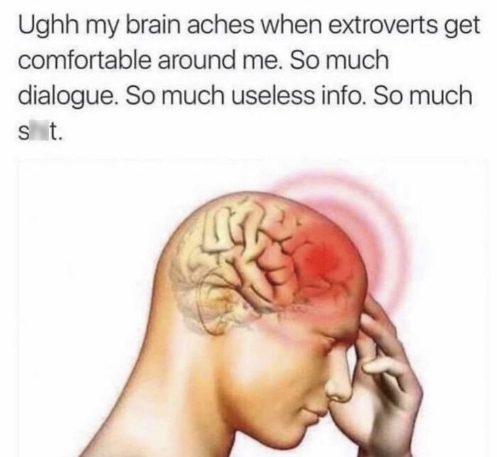 Introvert-Problems-Funny-Pics