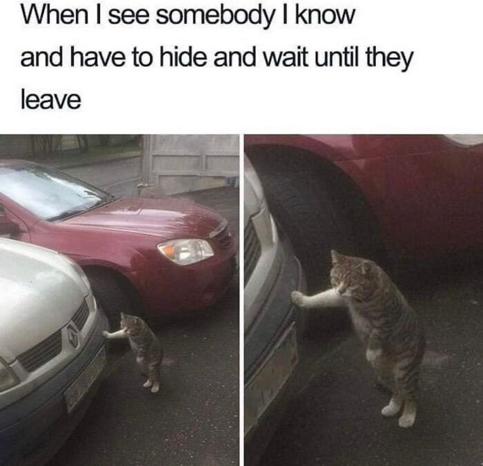 Introvert-Problems-Funny-Pics