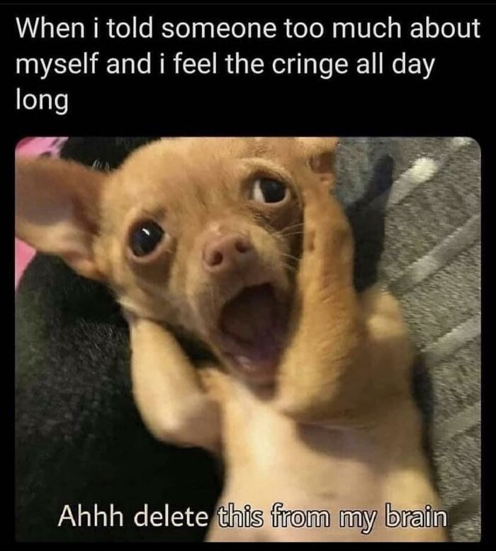 Introvert-Problems-Funny-Pics