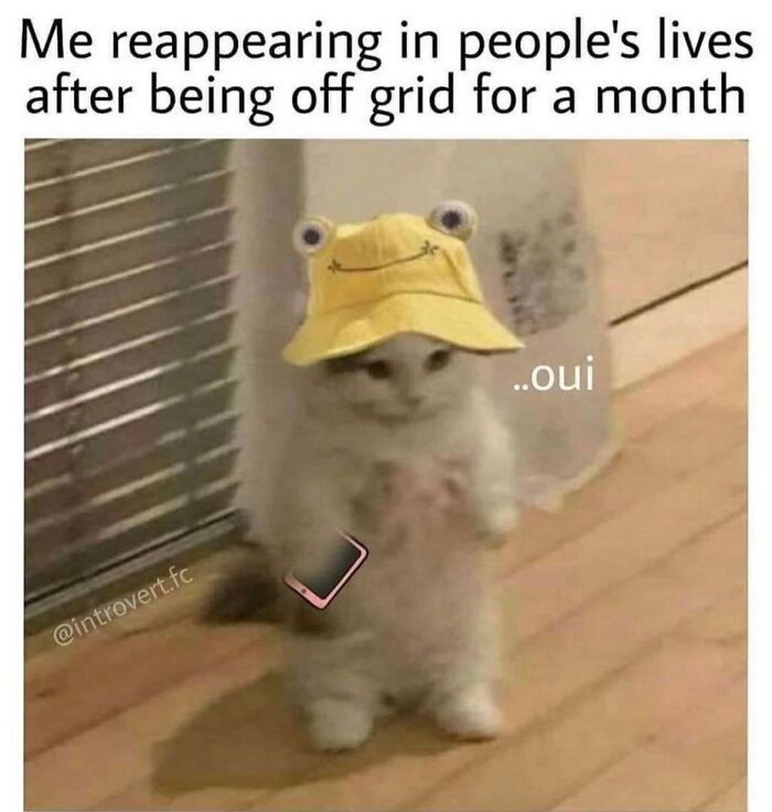 Introvert-Problems-Funny-Pics