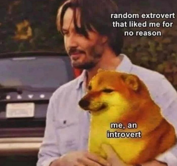 Introvert-Problems-Funny-Pics