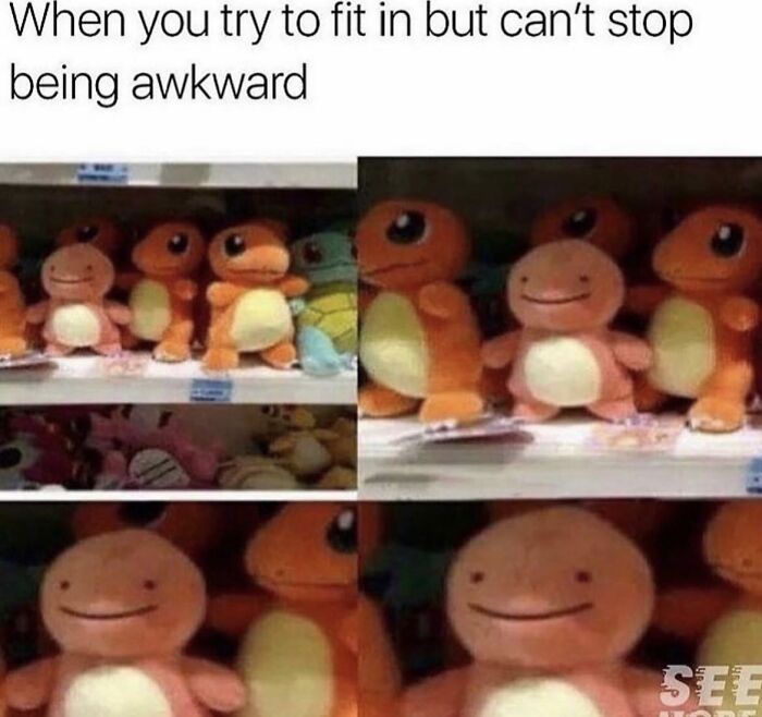 Introvert-Problems-Funny-Pics