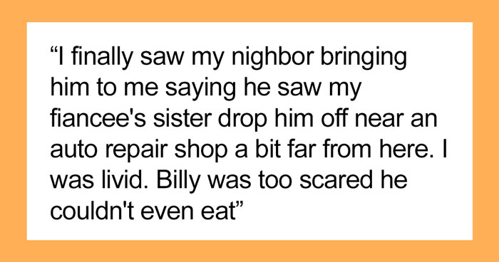 Man Gives His Pregnant SIL The Boot Upon Finding Out She Abandoned His Cat On The Streets