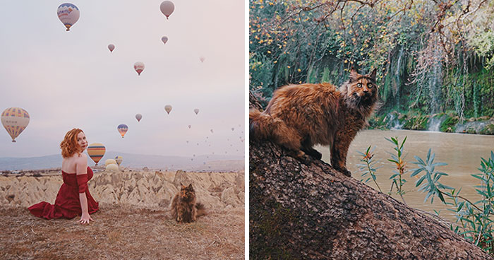 I Have Traveled To 33 Countries Together With My Maine Coon Cat, See The Highlights Of Our Journey To Turkey And Georgia