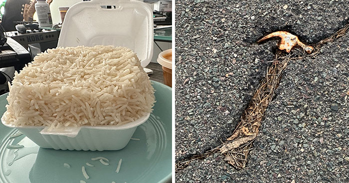 This Online Group Is Dedicated To “Mildly Interesting” Stuff, And Here Are Their 50 Best Posts (New Pics)