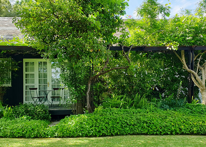 New Landlord Demands Tenants Restore The Garden To Its Original State, Loses It When He Sees It's Now Just A Patch Of Dirt New Landlord Demands Tenants Restore The Garden To Its Original State, Loses It When He Sees It's Now Just A Patch Of Dirt