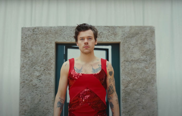 Screen photo from Harry Styles official music video