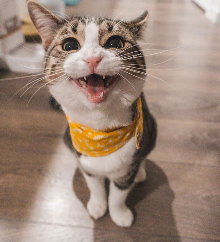 I Slapped A Child In The Face And Then Shoved Him Off His Scooter. I'm 25