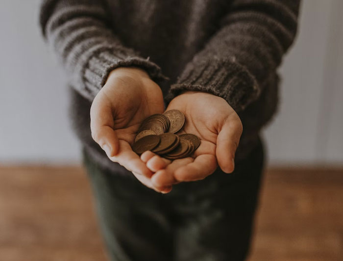 Robé dinero en la escuela secundaria con una recaudación de fondos falsa