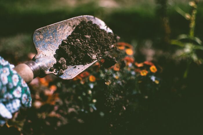 Person digging dirt with shovel