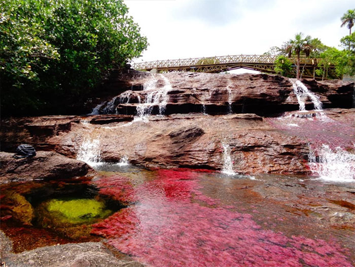 River Of Five Colours, Colombia