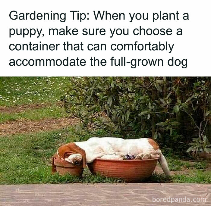 They Can Really Spread Out